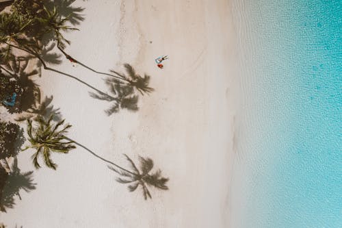 Top View of of a Beach Area