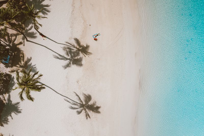 Vista aérea de playa solitaria con sombras de palmeras sobre arena blanca en Islas Cook