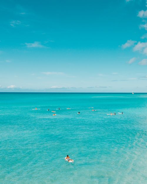 Free A group of surfers enjoying the clear blue ocean in Hawaii under a bright sky. Stock Photo