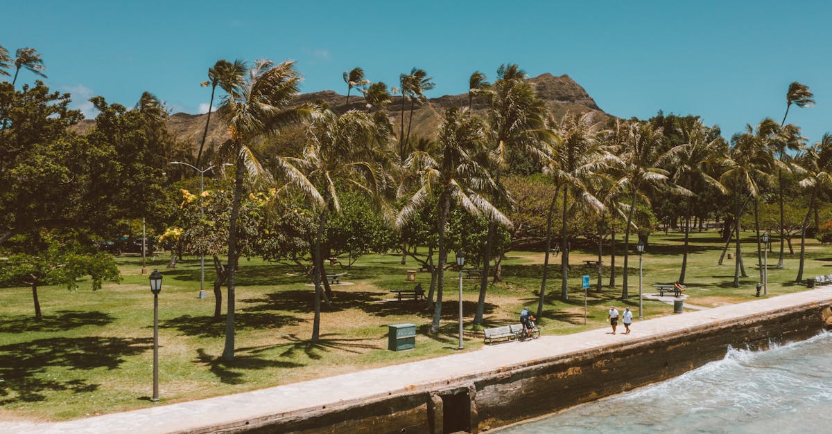 Palm trees swaying by the Waikiki Beach with Diamond Head in the background.