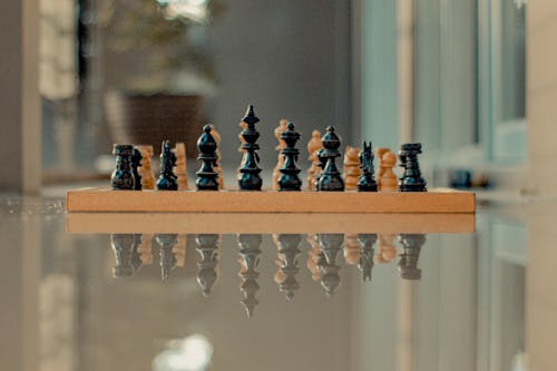 Fotos de stock gratuitas de ajedrez, efecto desenfocado, escaramuza