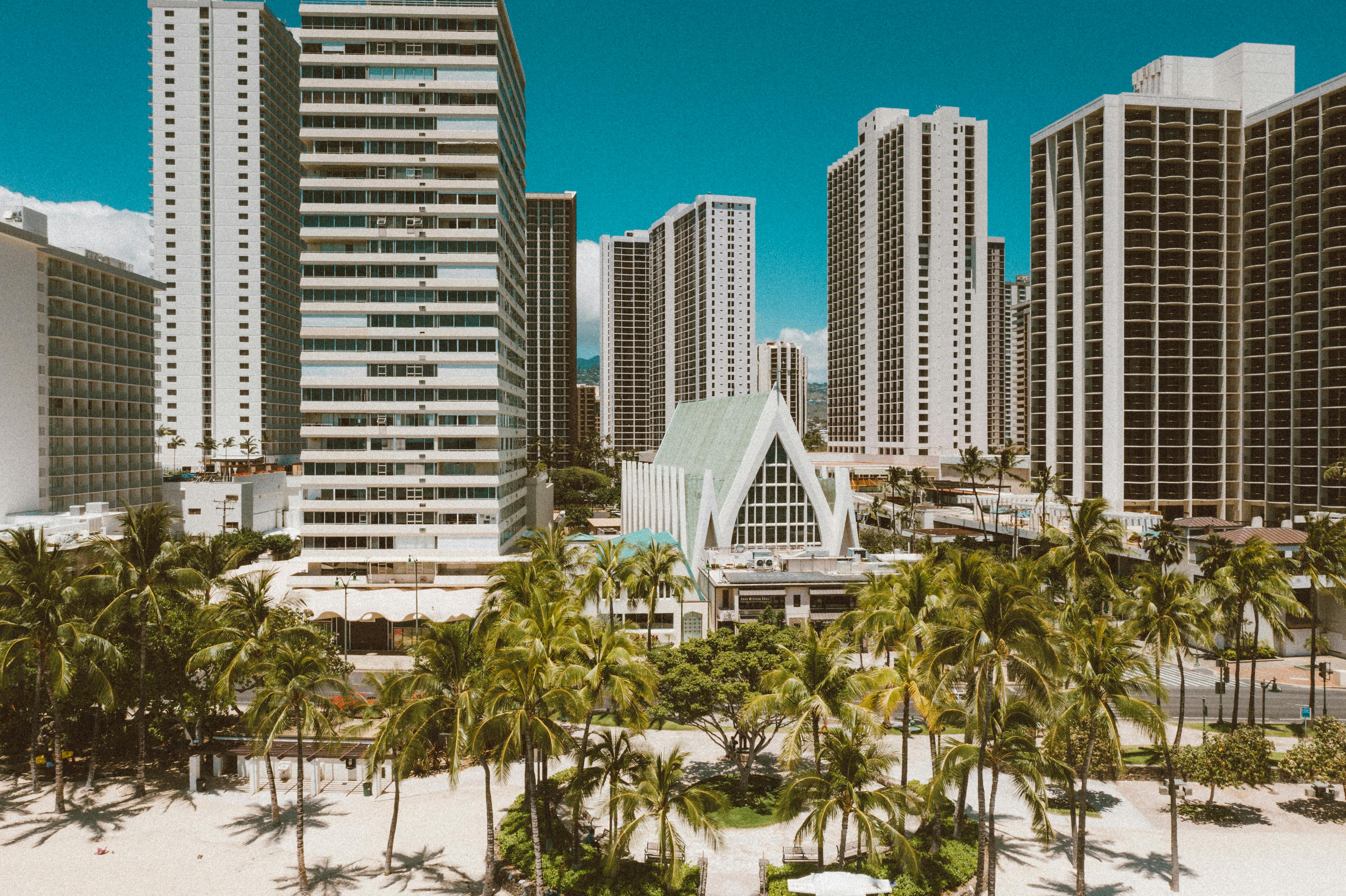 Aerial view of Honolulu's skyline with lush palm trees and modern architecture.