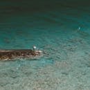 夏威夷海岸线上的冲浪者鸟瞰图，碧绿的海水清澈