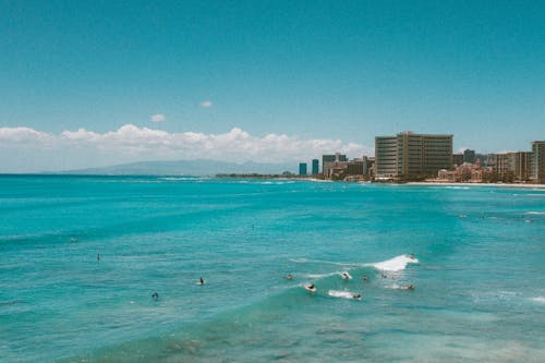 People Surfing on Sea Near City Buildings