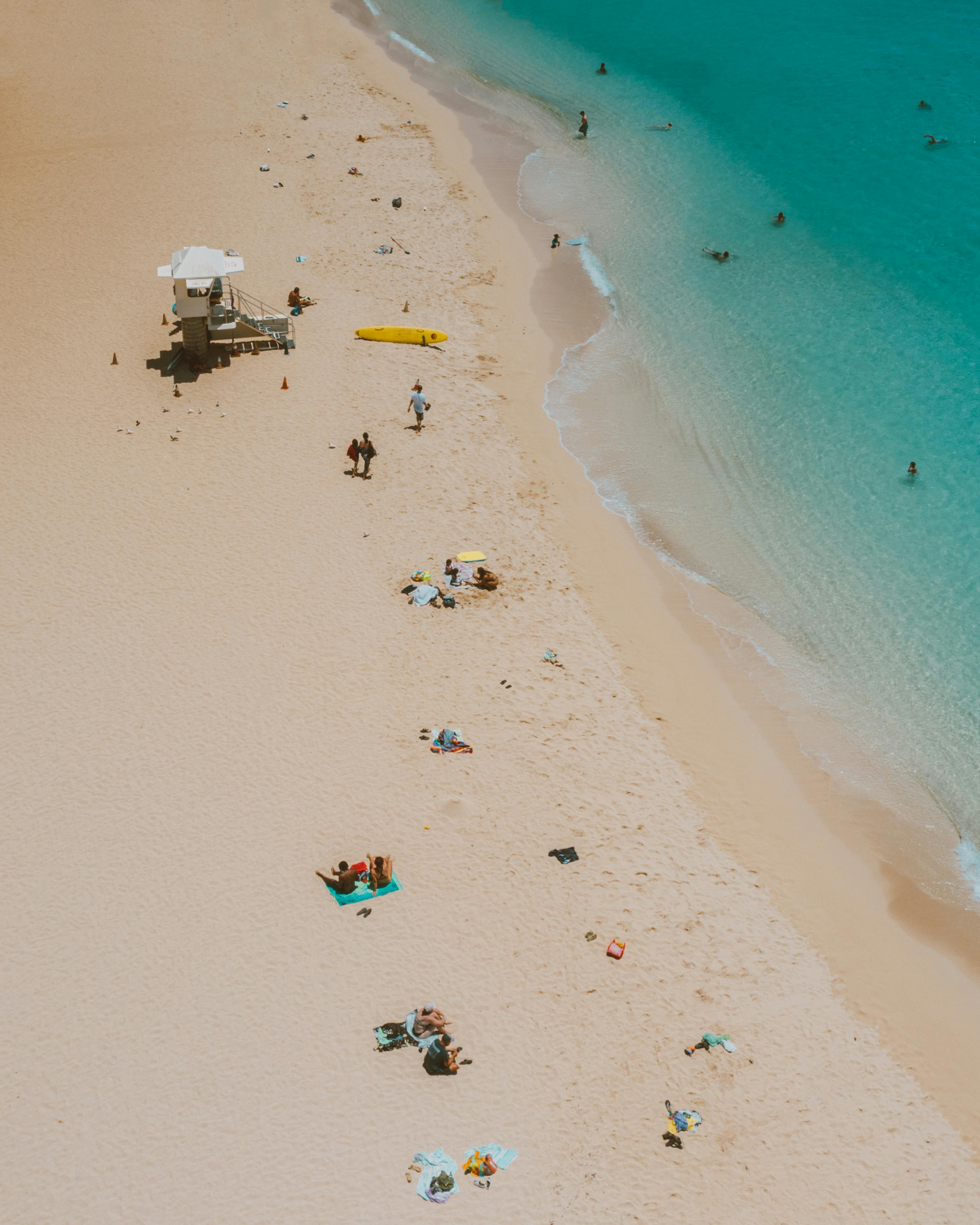 people on the beach