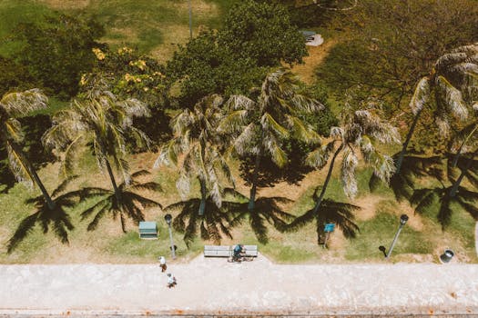 Unlocking the Secret Six-Figure Income: The Untold Truth About Travel Agent Costs & Returns