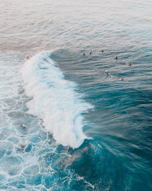 Ocean Waves Crashing on Shore