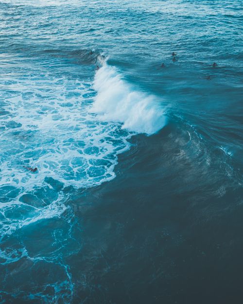 Free Aerial view of surfers catching waves in the blue ocean in Hawaii, USA. Stock Photo
