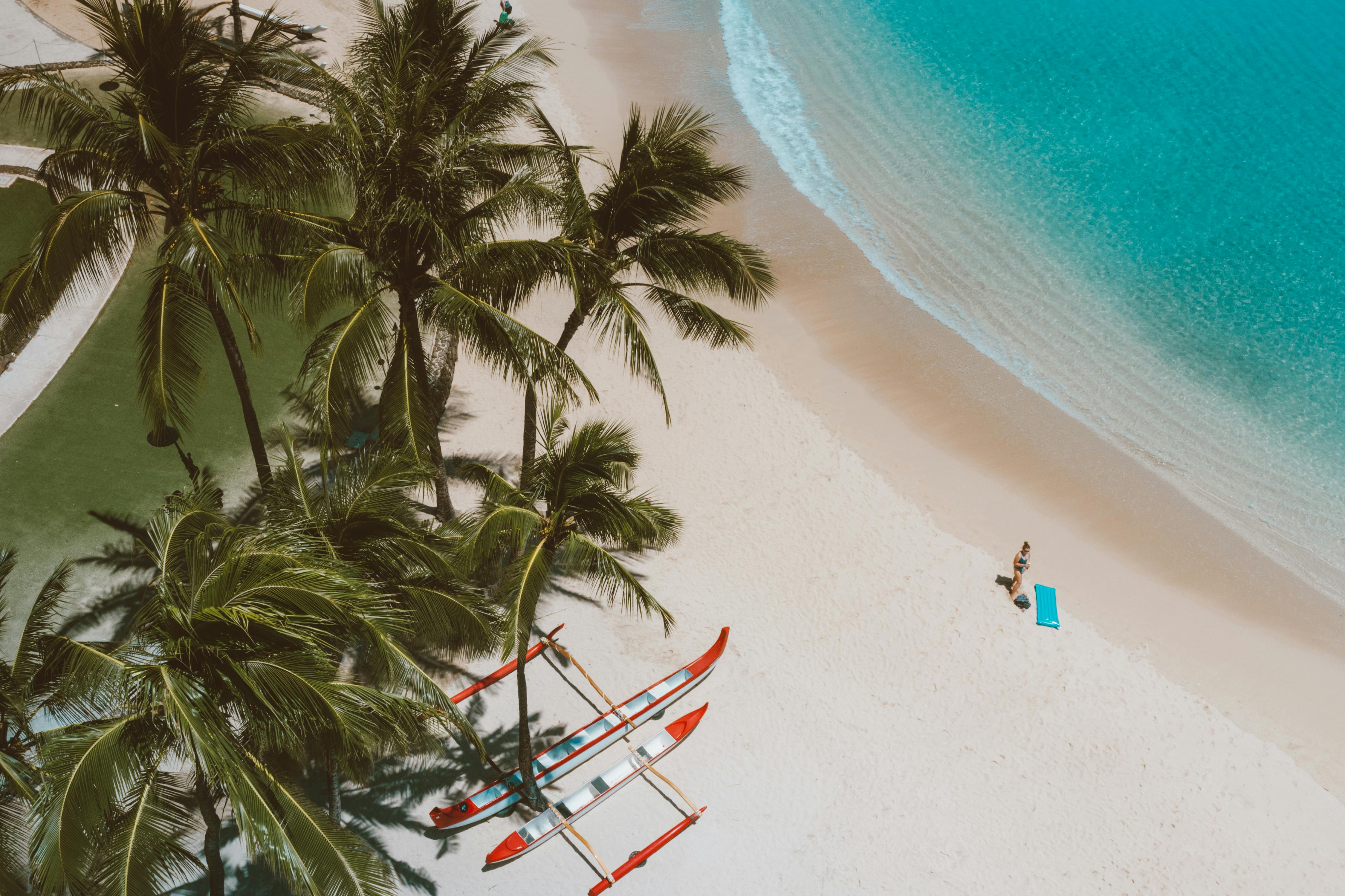 people on beach