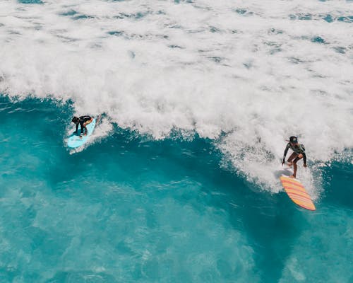 Gratis lagerfoto af blå, fest bølge, hawaii