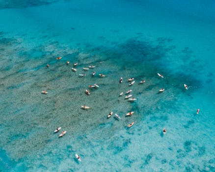 Aerial shot of surfers paddling in clear blue waters off the coast of Hawaii, USA.