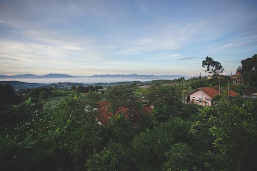 Kostnadsfri bild av berg, dimma, fält