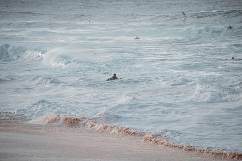 Foto d'estoc gratuïta de aigua, fent surf, gent