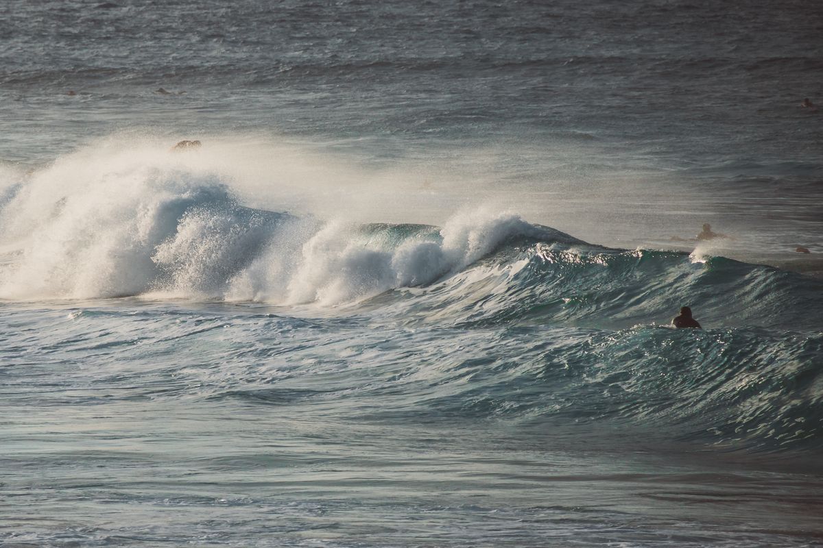 Jóvenes disfrutando del surf en el mar