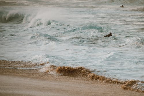 Ocean Waves Crashing on Brown Sand