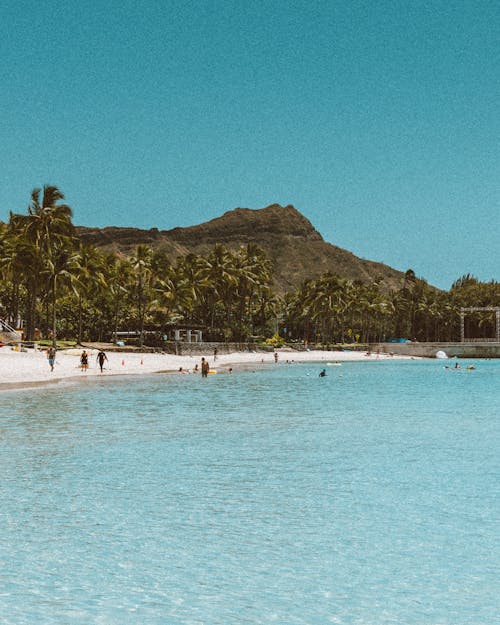 People on Beach