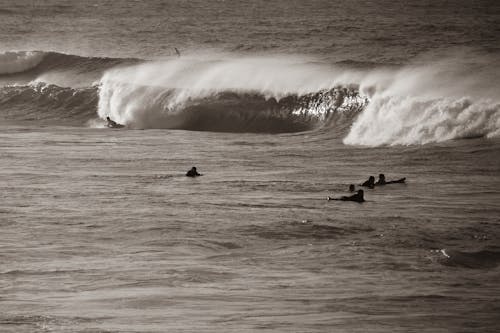 People Surfing on Sea Waves