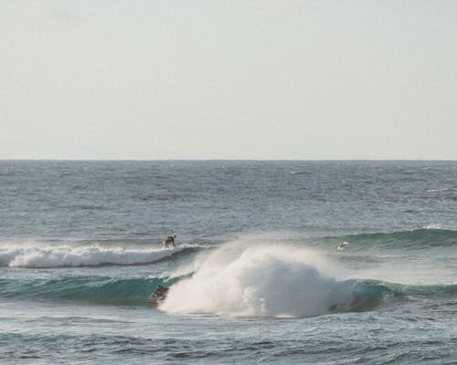 People on Surfboards over Sea Waves