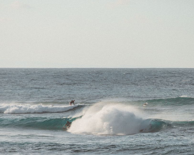 Surfers enjoying a sunny day on the ocean with crashing waves, showcasing thrilling surfing action.