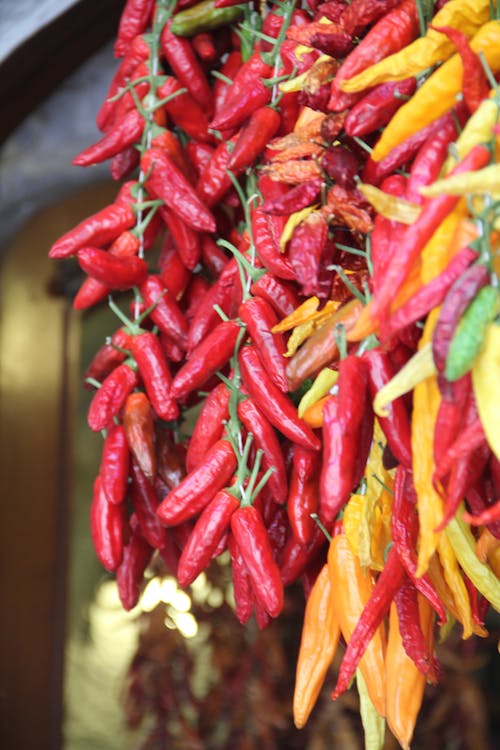 Bundle of bright red and yellow hot peppers hanging on wall in daylight