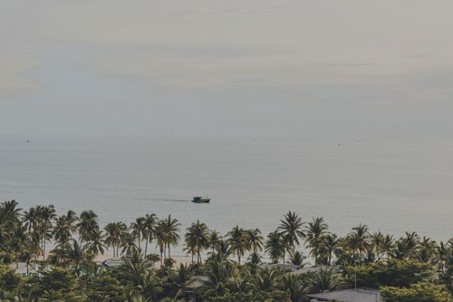 Free Serene panorama of palm-lined Phu Quoc beach with a distant boat on the calm sea. Stock Photo