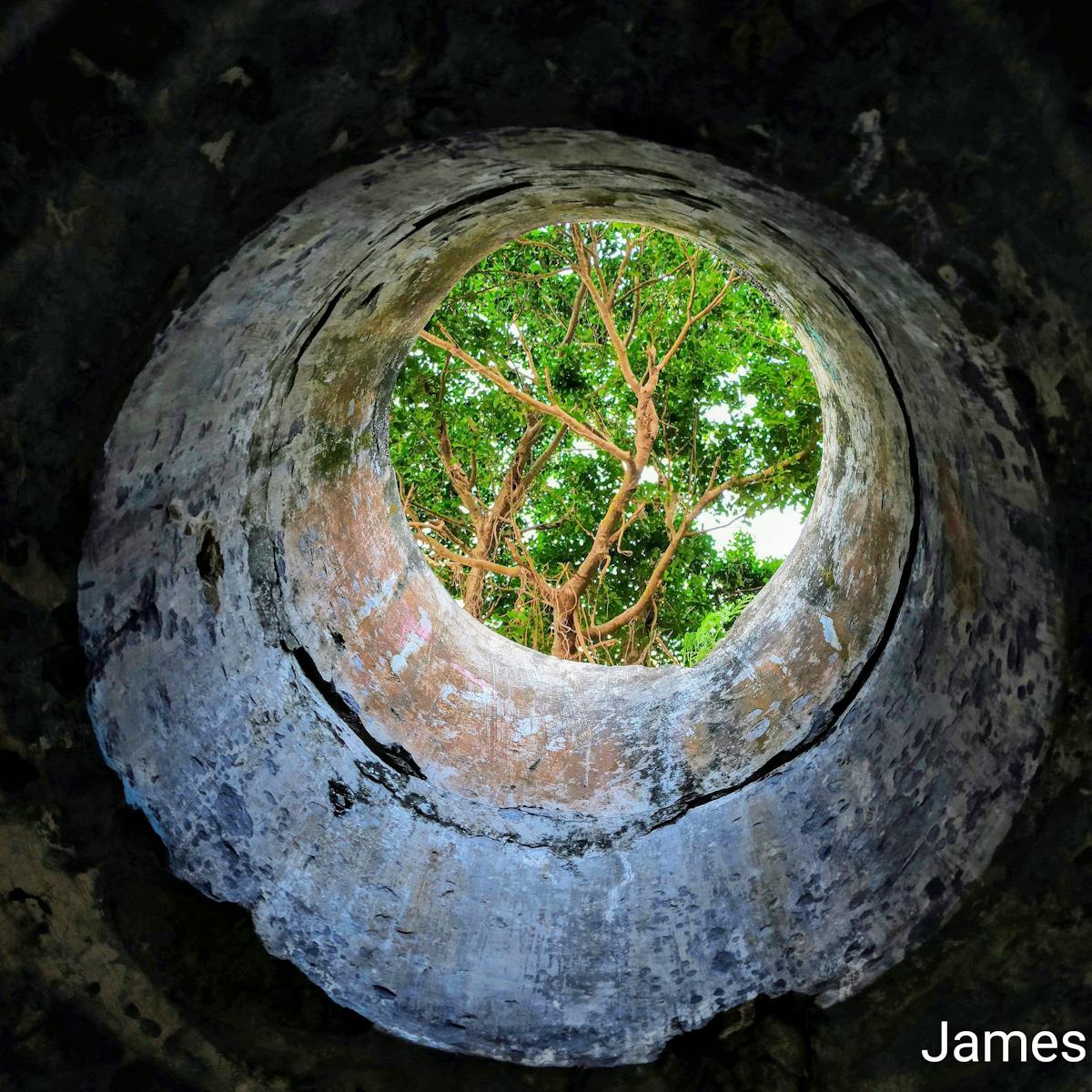 Silhouette of a person looking at the night sky filled with stars