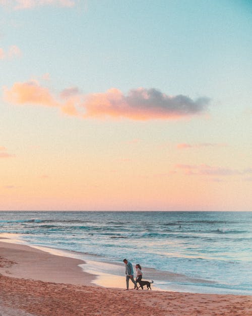 Kostnadsfri bild av gyllene solnedgång, hav, hawaii