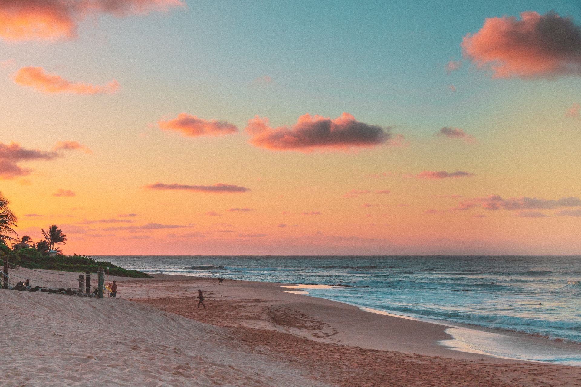 People on Beach during Sunset