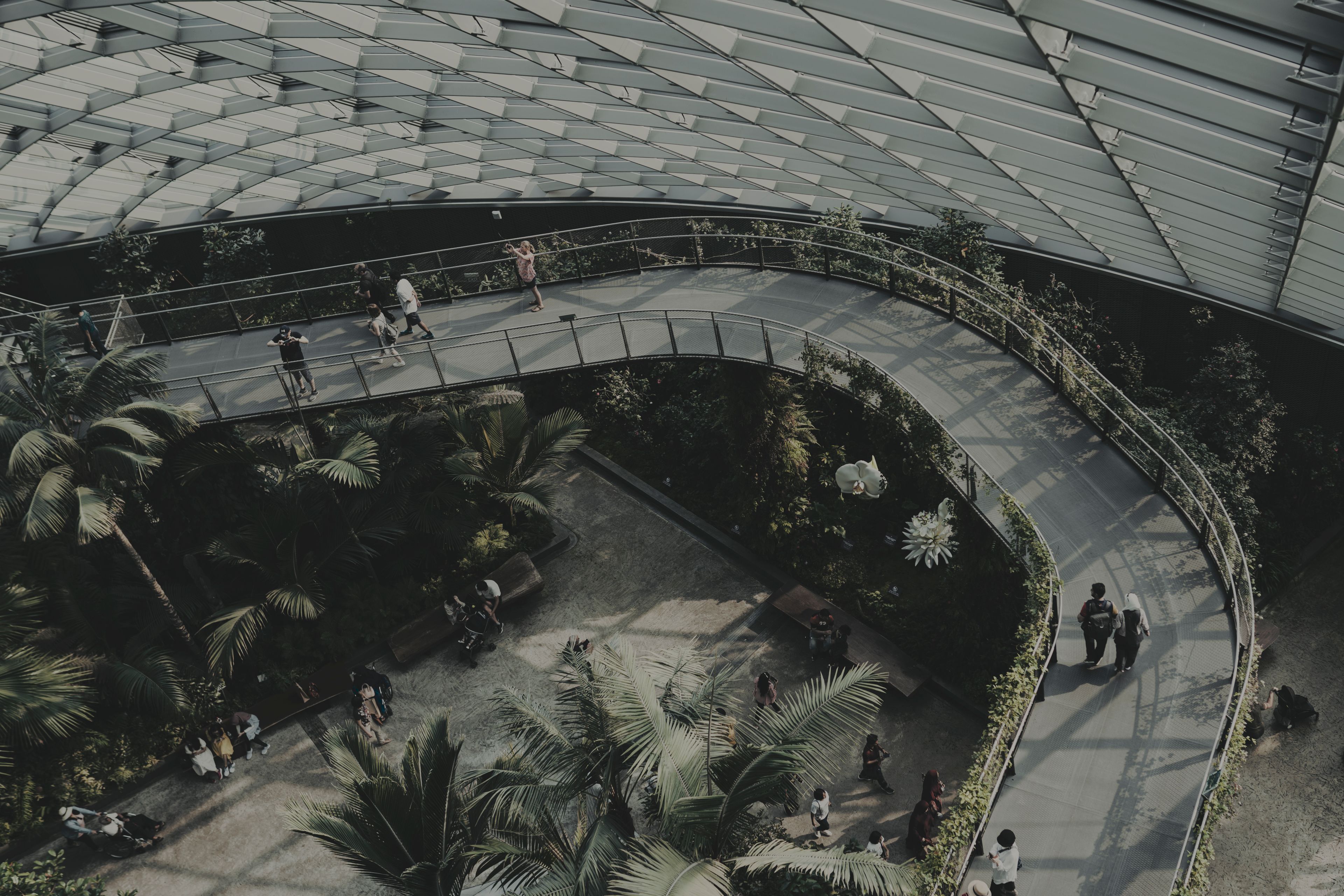 Scenic aerial shot of a curved walkway inside Singapore's renowned Gardens by the Bay.