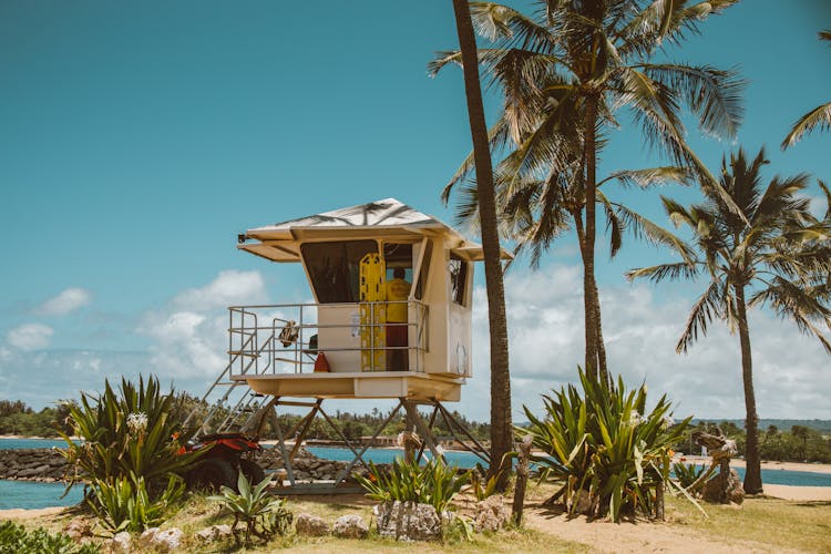 Person Standing Inside Lifeguard Vector On Beach Resort