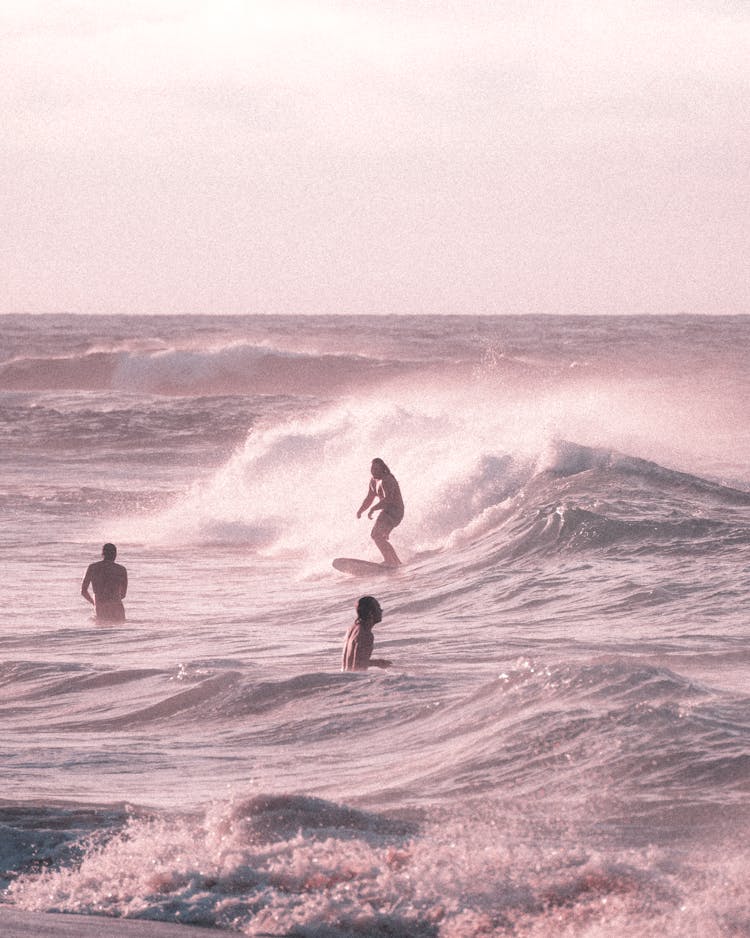 People Enjoying On Ocean Waves