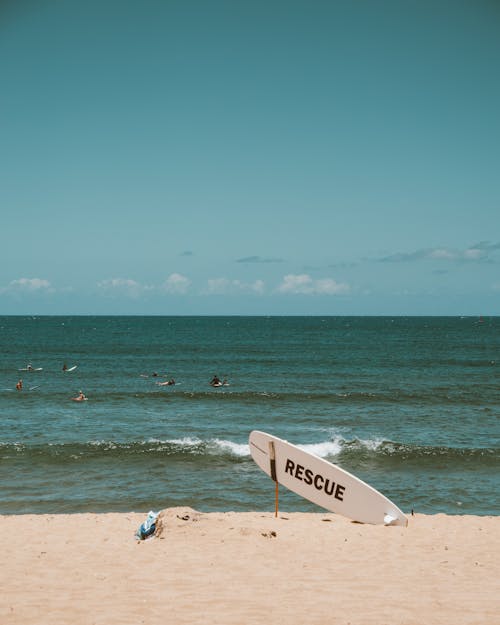 Δωρεάν στοκ φωτογραφιών με Surf, ακτή, άμμος Φωτογραφία από στοκ φωτογραφιών