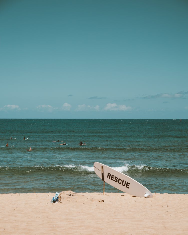 People Swimming On Sea