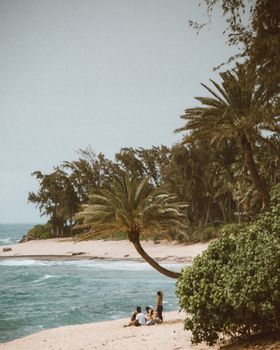 Group of adults relaxing on a tropical beach in Pupukea, Hawaii, with palm trees and ocean waves.