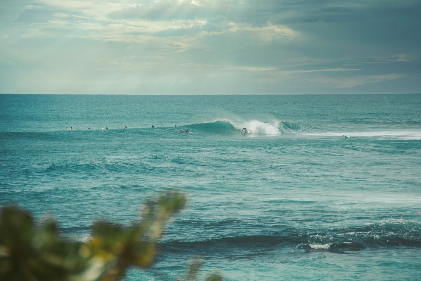 A surfer dropping into a clean wave on a Hawaiian north shore