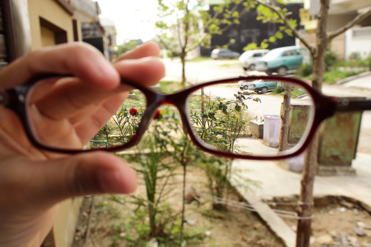 Dog limping due to arthritis