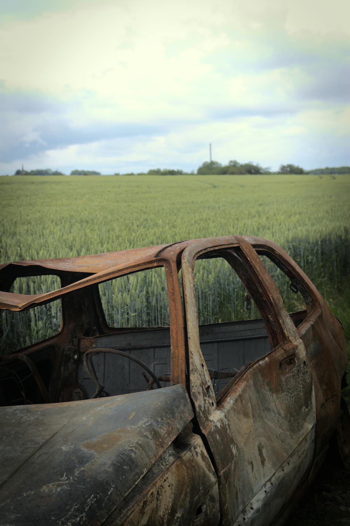 Owner practicing positive reinforcement training with anxious dog