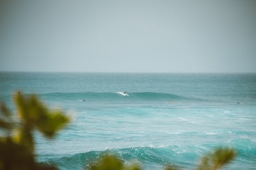 Person Surfing on Sea