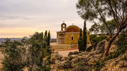 Brown Cathedral Near Forest