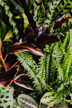 Close-up of diverse tropical plants with vibrant green leaves, creating a lush indoor jungle feel.