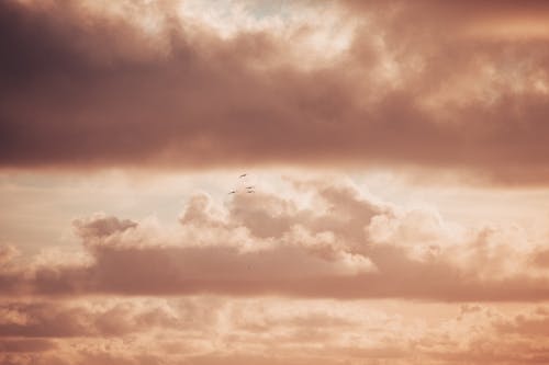 在云层之上, 夕阳的颜色, 日落 的 免费素材图片