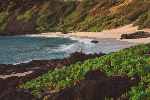 Kostenloses Stock Foto zu hawaii, meer, meer-scape