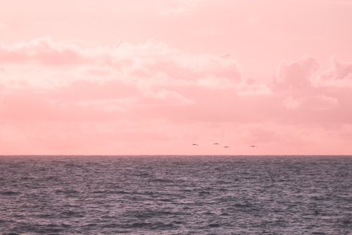 Free Serene pink and blue sunset over the ocean with birds in Hawaii. Stock Photo