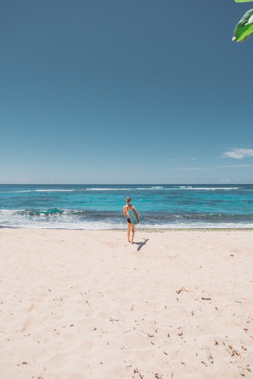 Безкоштовне стокове фото на тему «oahu, блакитне небо, Гаваї» стокове фото