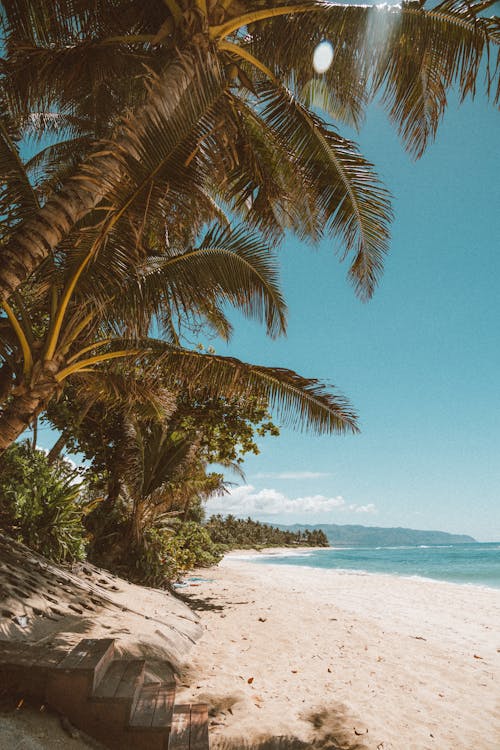 A Beach Under the Blue Sky 