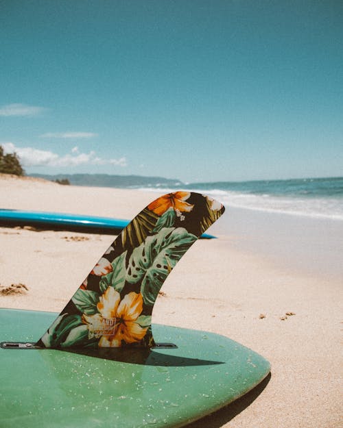 Black and White Butterfly on Green Surfboard on Beach