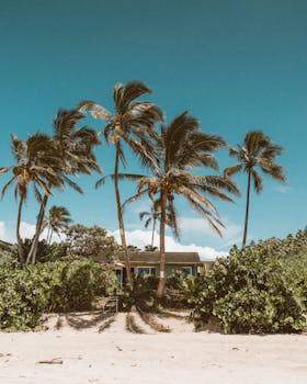 Photo by Jess Loiterton Peaceful beach scene with palm trees and a house under a clear blue sky in Hawaii.
