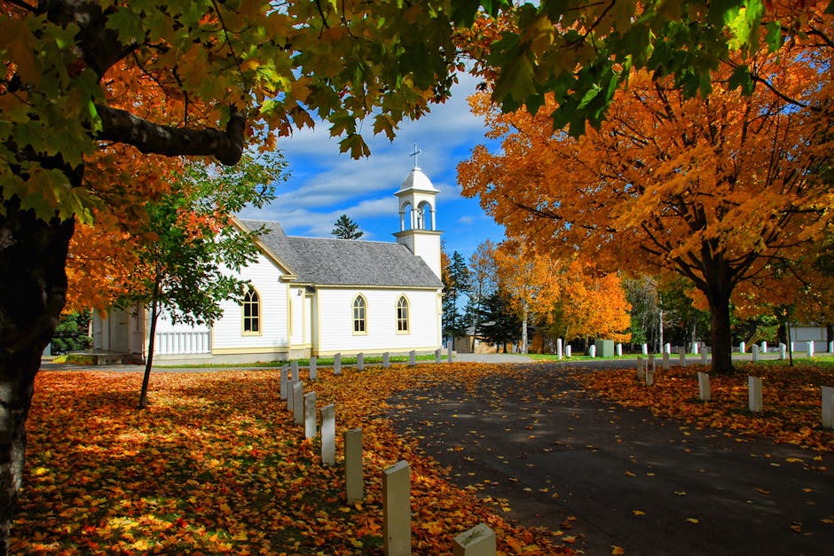 autumn, autumn leaves, church
