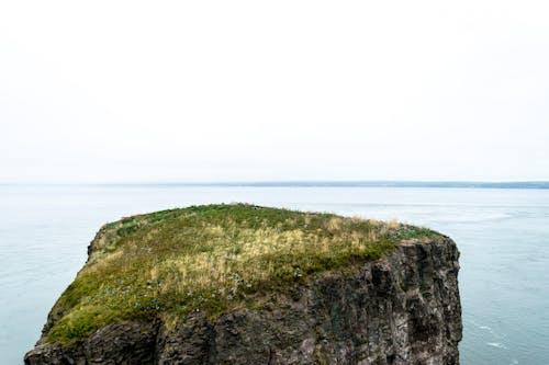 Základová fotografie zdarma na téma čeření, čerstvý, čirý