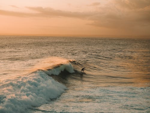 Free A Person Surfing on Sea Waves during Sunset Stock Photo